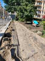 Brno | Nový plot kolem Botanické zahrady